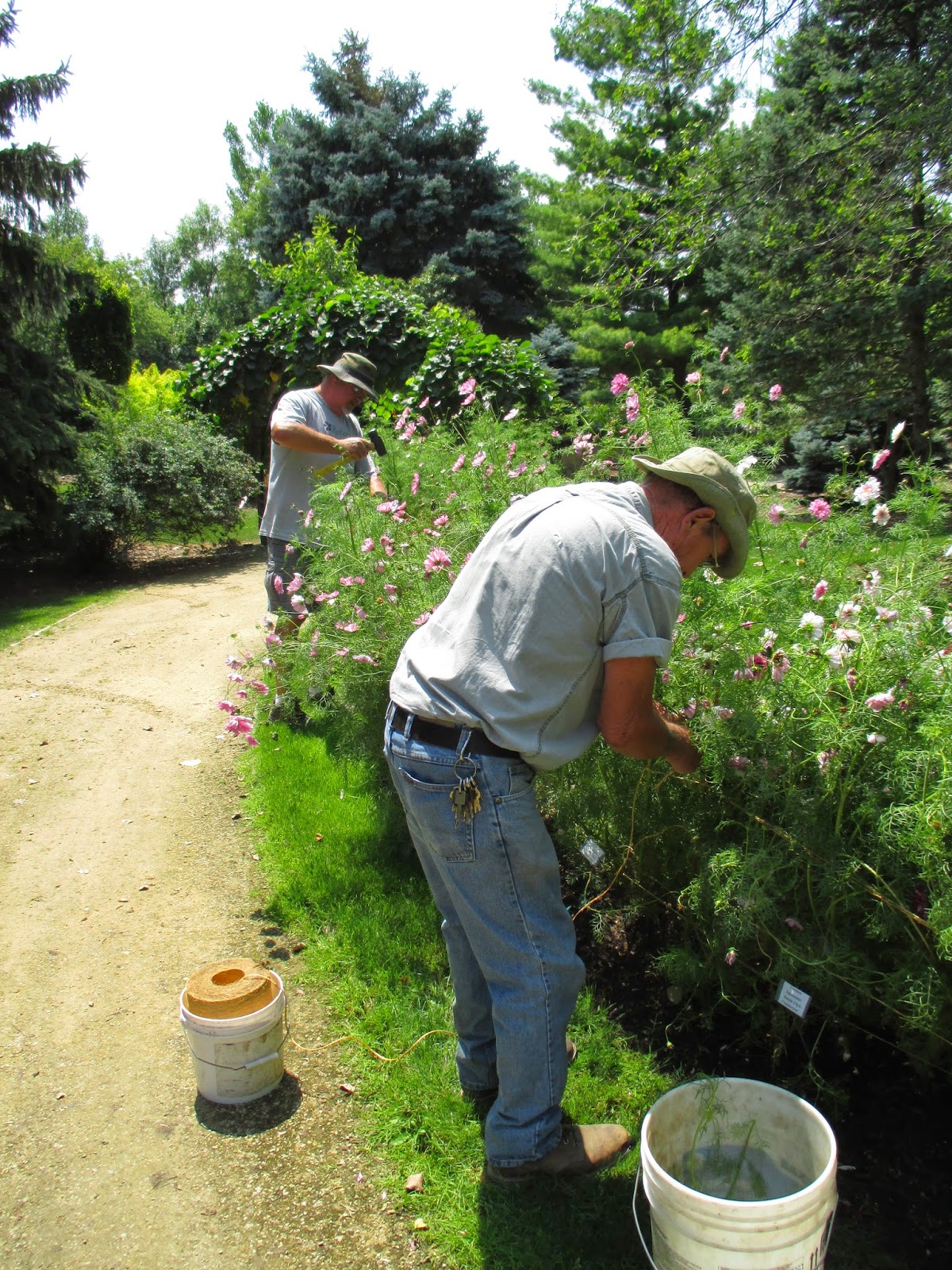The Edgy Gardener Blog May 2014