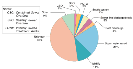 earthian what a pollution pie chart on pollution in india