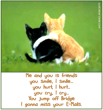 Cute Funny Friendship Quotes