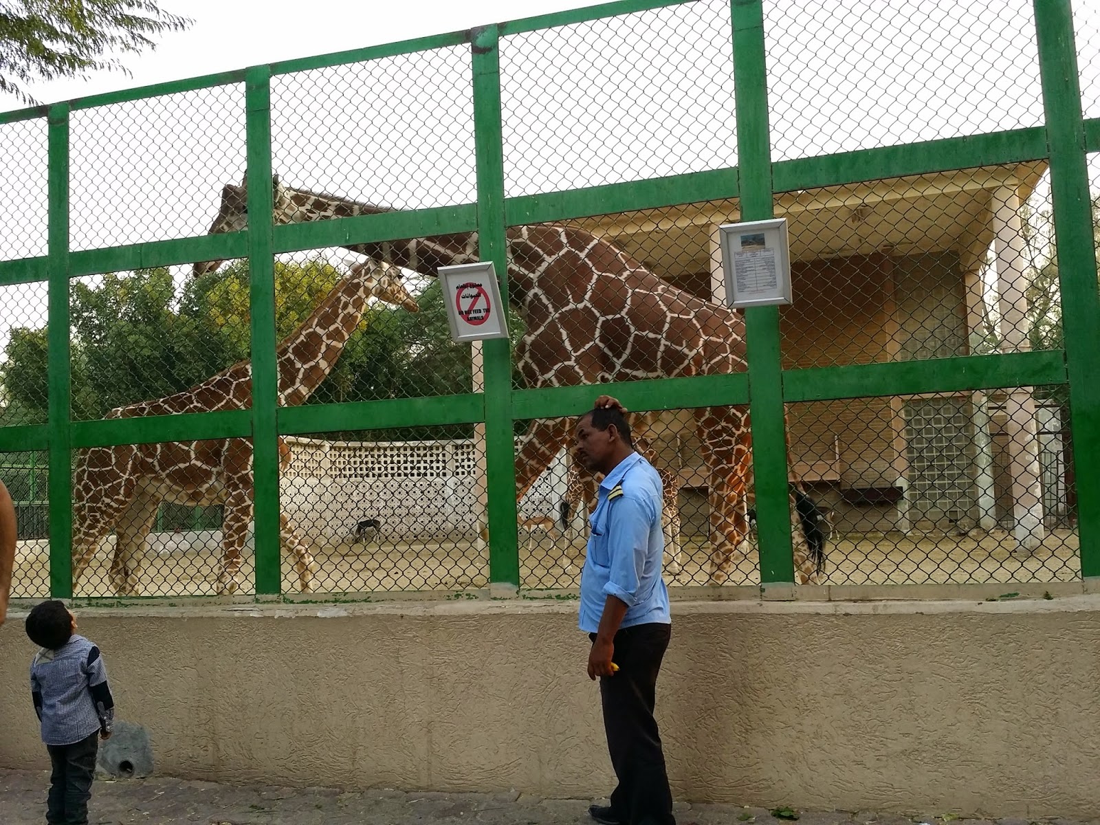 Life in Kuwait Blog Kuwait Zoo