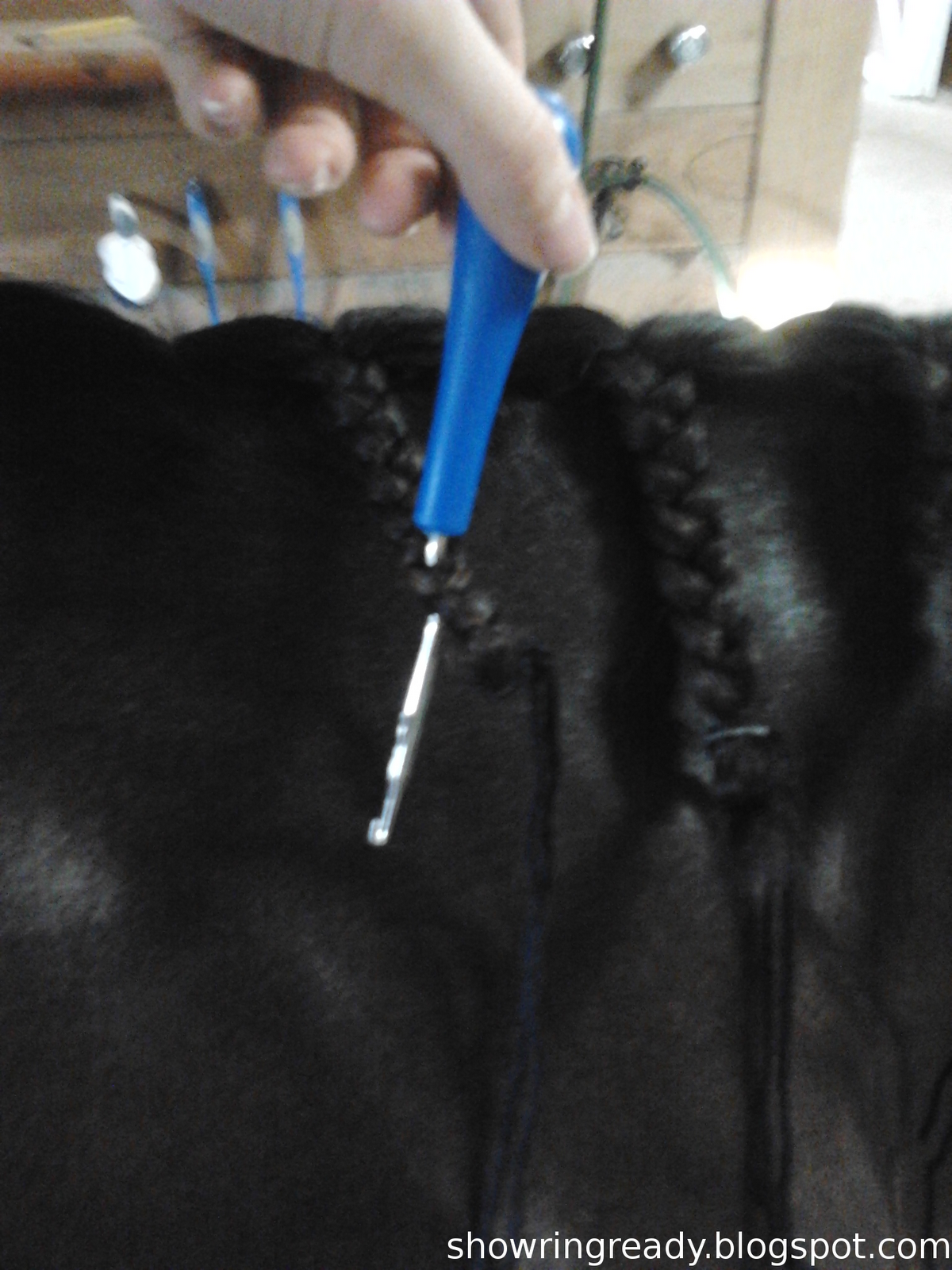 Show Ring Ready Foolproof Jumper Braids
