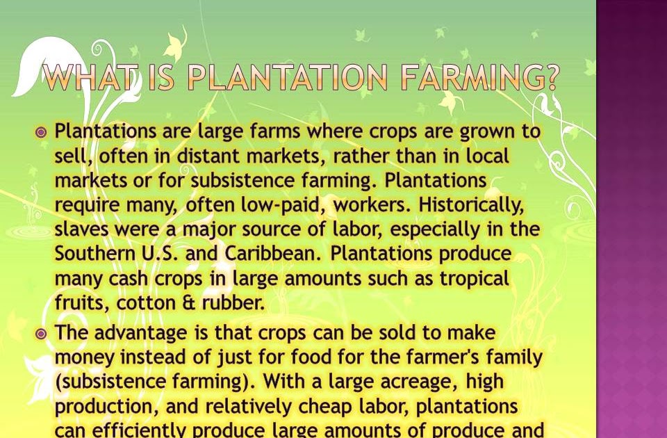 .Plantation Farming In Brazil. What Is A Plantation?