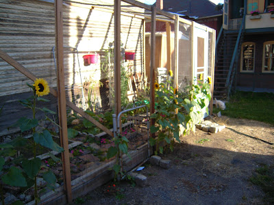 Maize Hutton: What You Can Make With Wooden Pallets