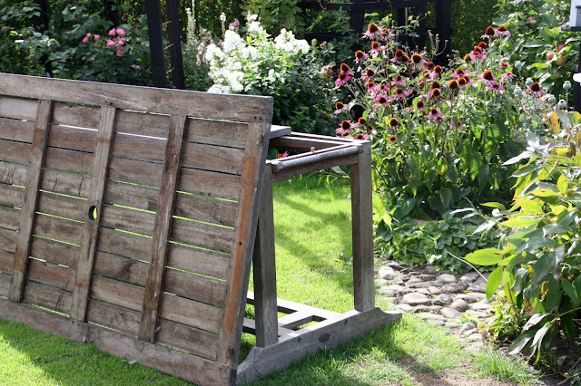 Frøken solhat: fra havebord til plantebord på 10 min.