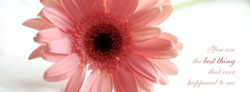 ... cover - Facebook Cover Photos, FB Cover Pics Facebook cover HD
