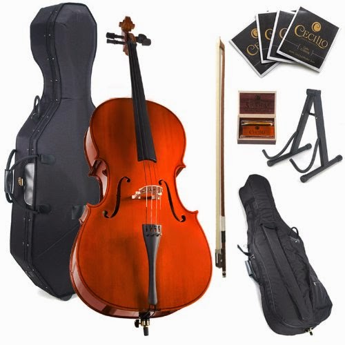 Buying a Beginner Cello and Where to Find Music Lessons in Halifax