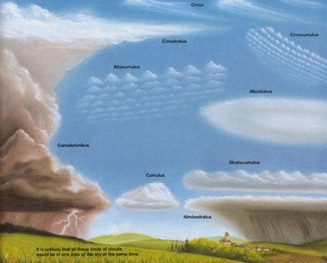 The Educated Preschooler: Rain & Water Cycle