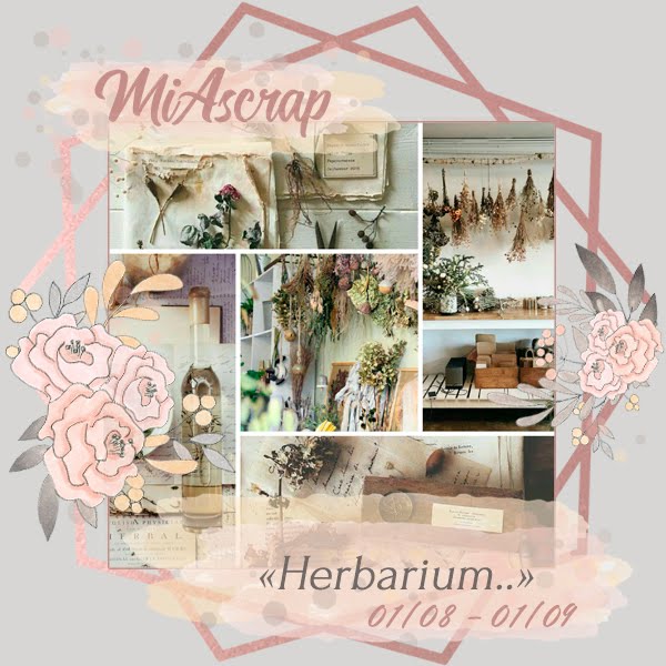ТЗ "Herbarium" до 01/09