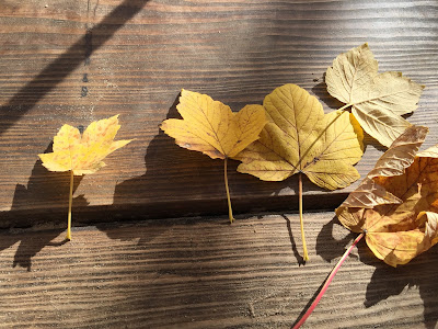 Herbst Runzelfuesschen Elternblog Must have Herbst Gummistiefel Test