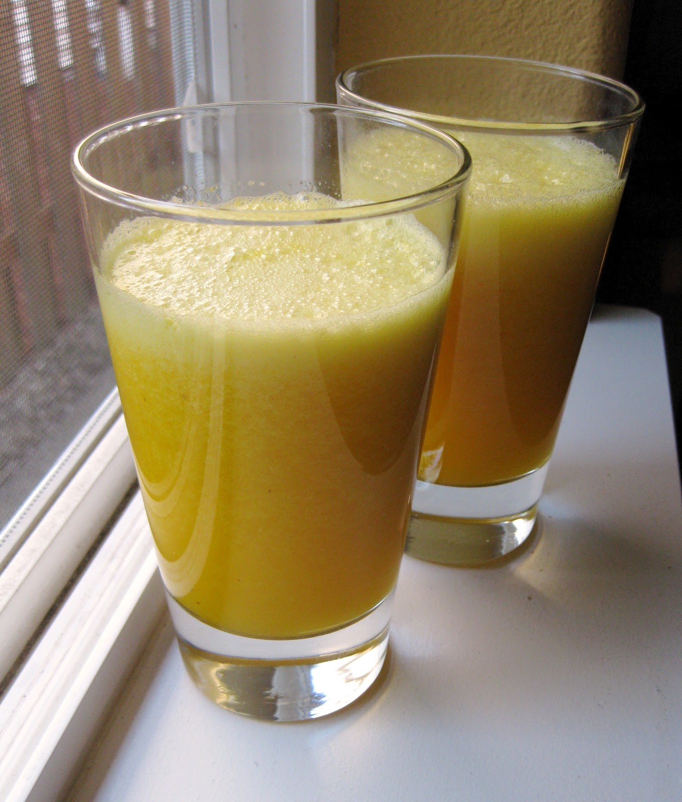 Oishikatta 美味しかった Blender OJ (orange juice)