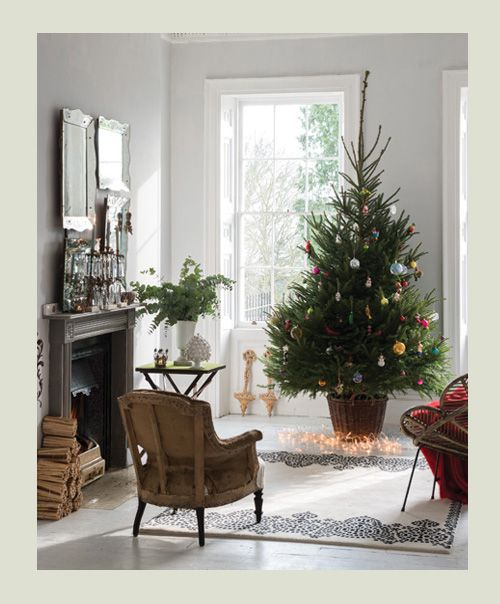 a perfect gray Christmas Trees in Baskets