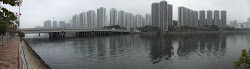 Shatin highrises