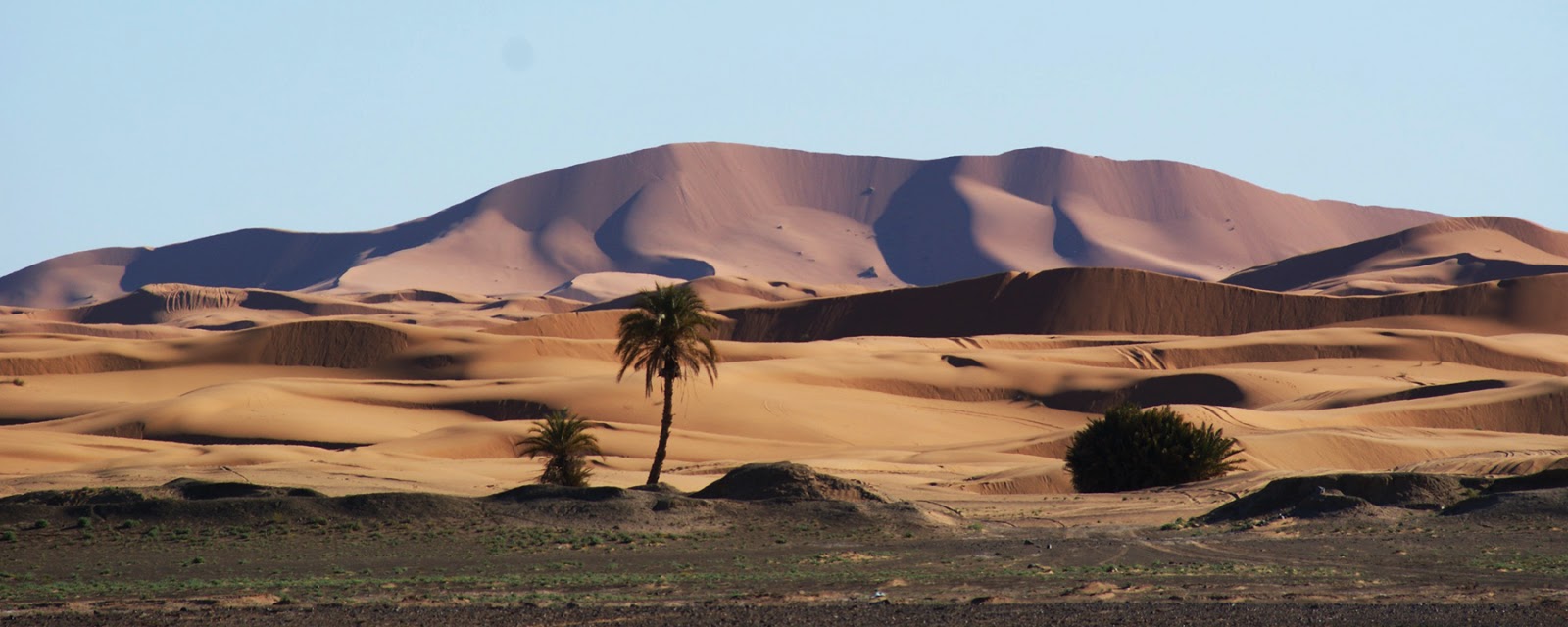 Panorama Sahara desert Erg Chebbi