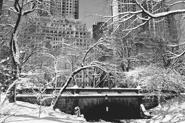 Brooklyn, New York-based photographer Dustin Cantrell just wrote to us to tell us about a beautiful new set of photos he took of New York's Central Park after the recent blizzard. The massive snowstorm, nicknamed Nemo by The Weather Channel, was caused by the collision of two weather systems, from the west and the south.