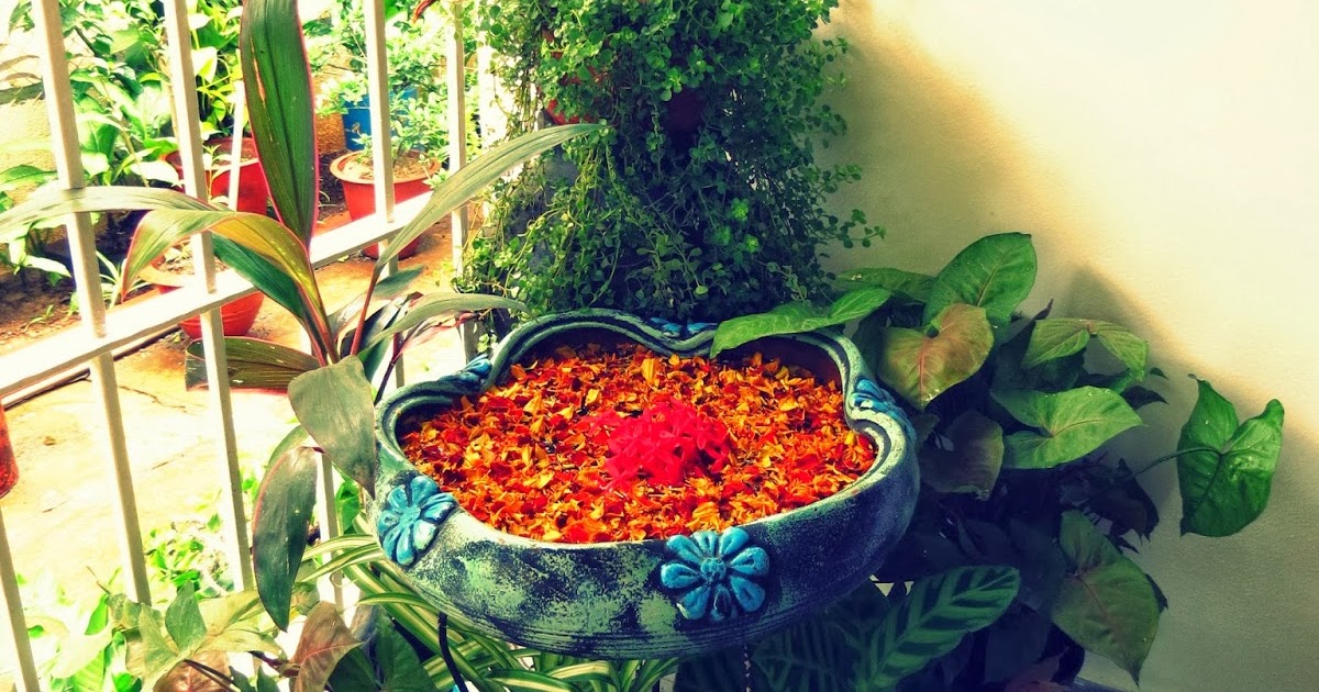 A House Of Eternal Spring!