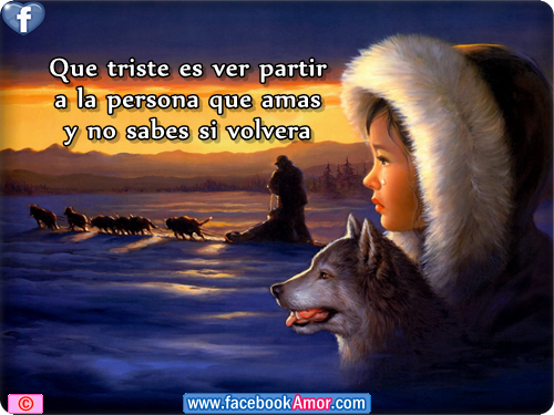 imagenes de decepcion de amor con frases para fondos de - Descargar Imagenes De Desamor Con Frases