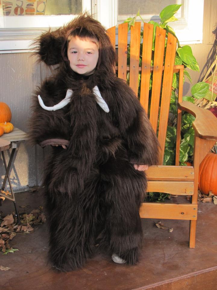 Southern Comfort And Sweet Tea Halloween Costumes