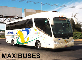 vallarta maxibuses autobuses