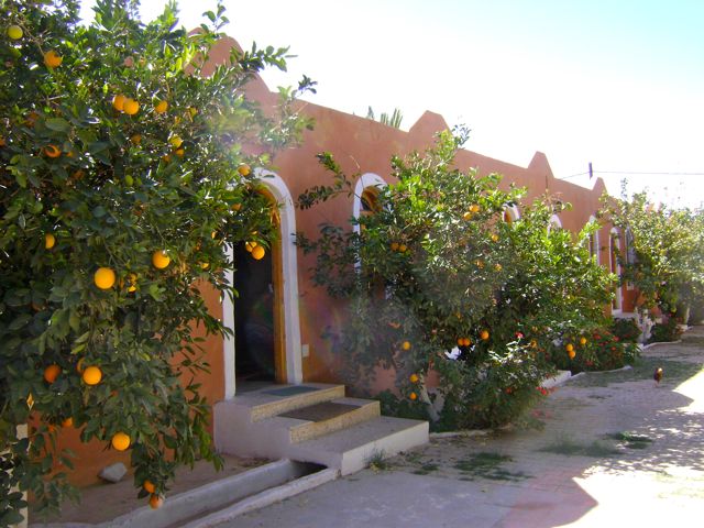 Wasser In Der Wüste Algerien Reisen Kultur Musik Urlaub