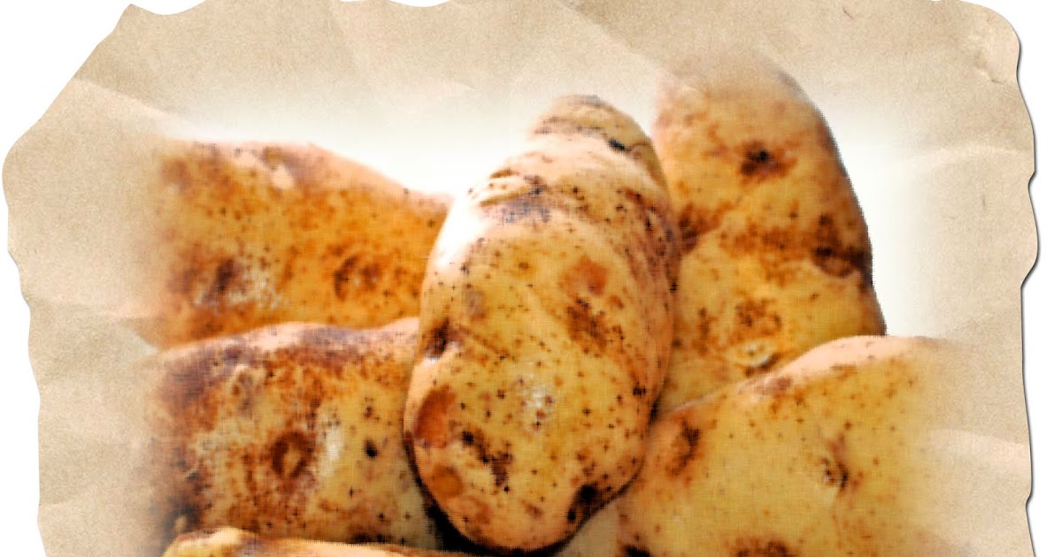 Dehydrating Way Beyond Jerky Potatoes & Blanching