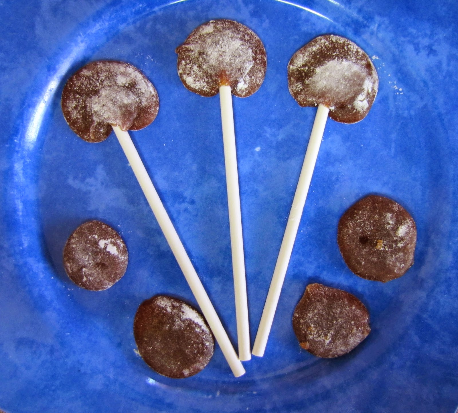 The Buell Family Homemade Honey Herbal Cough Drops & Cough Pops (for