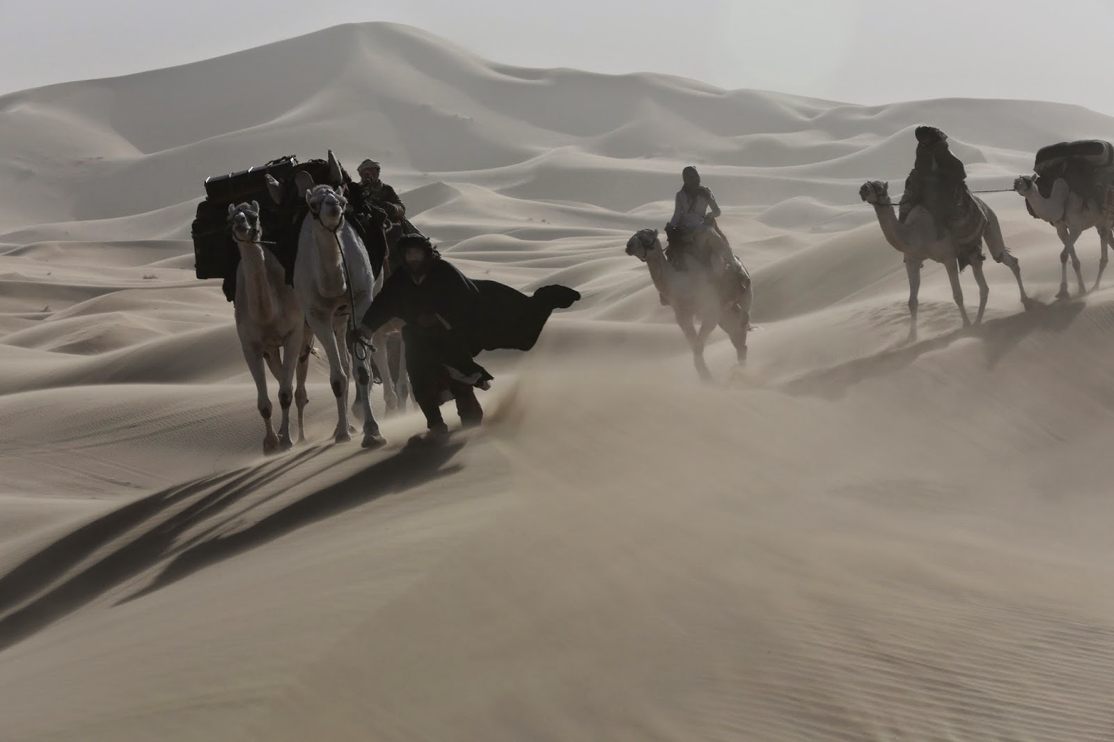 Queen of the Desert | Teaser Trailer