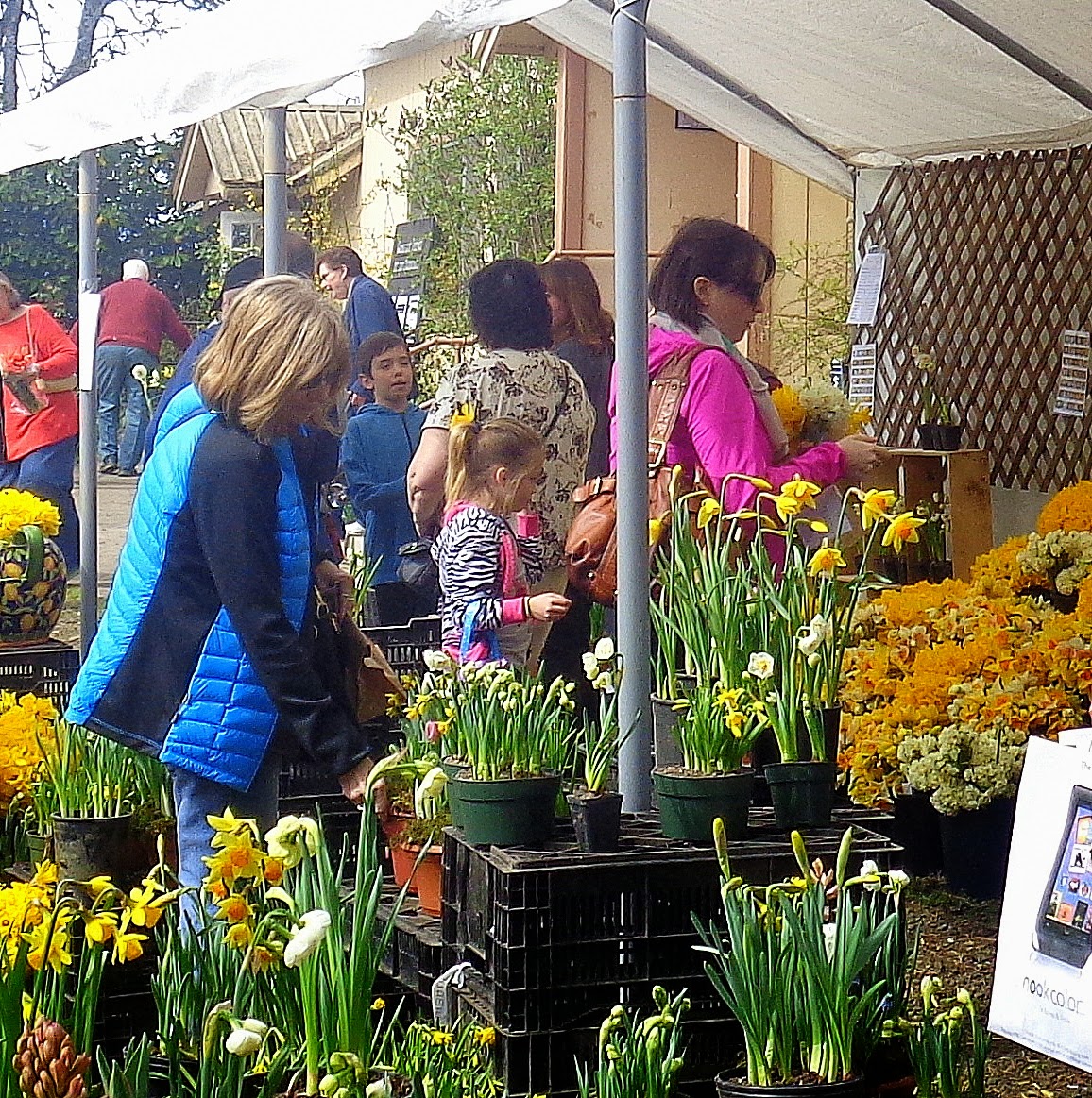 One Perfect Bite A "Remembered" Daffodil Cake