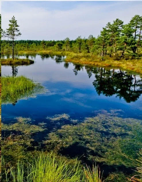 Lahemaa National Park,Estonia