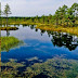 Lahemaa National Park,Estonia