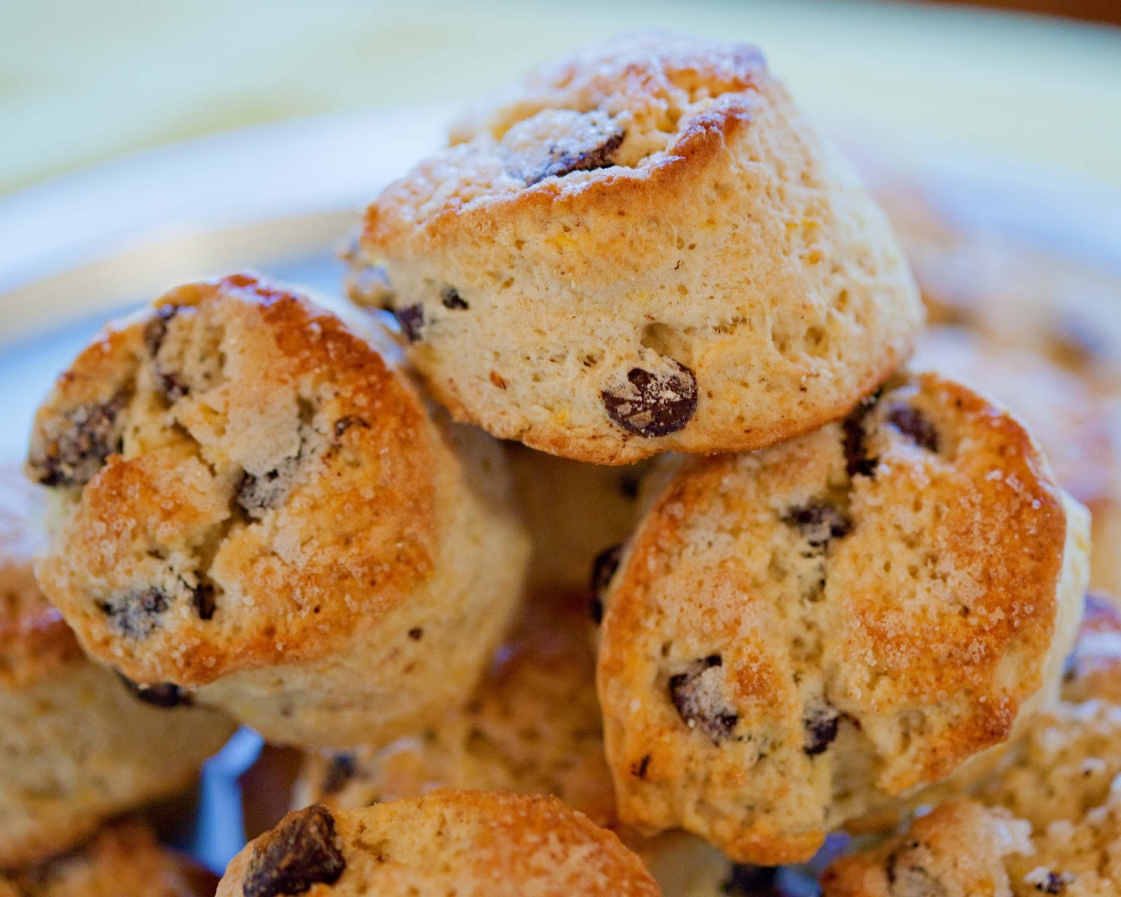 English Scones With Chocolate Chips English Scones With Chocolate Chips