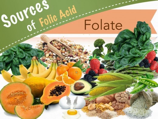 sources of folic acid