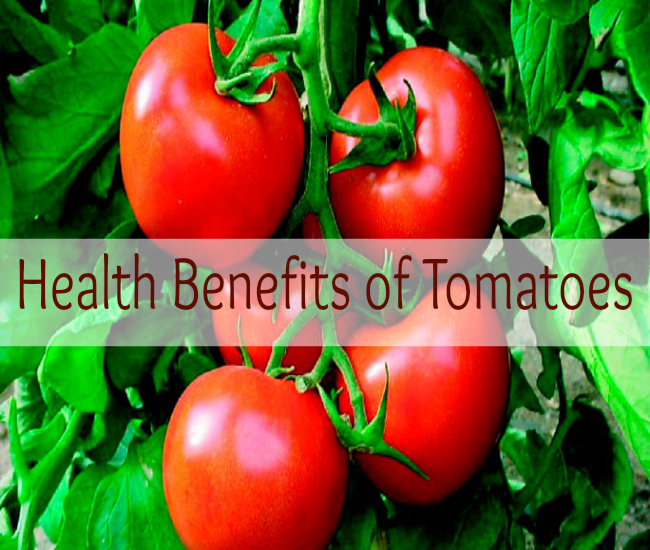 Health Benefits of Tomatoes Medi Craze