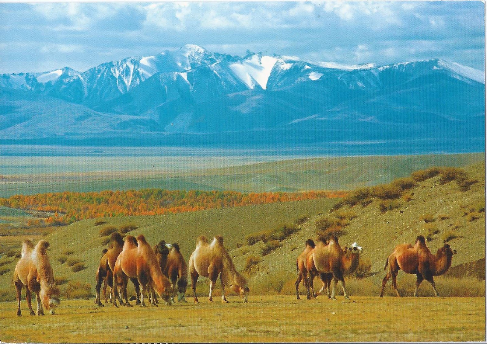 Steppe Russia