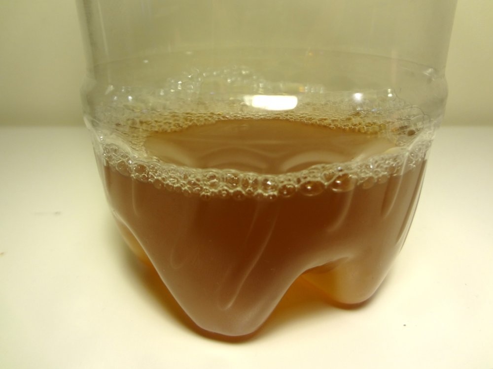 aka Bailey A Homemade Fruit Fly Trap that Actually Works