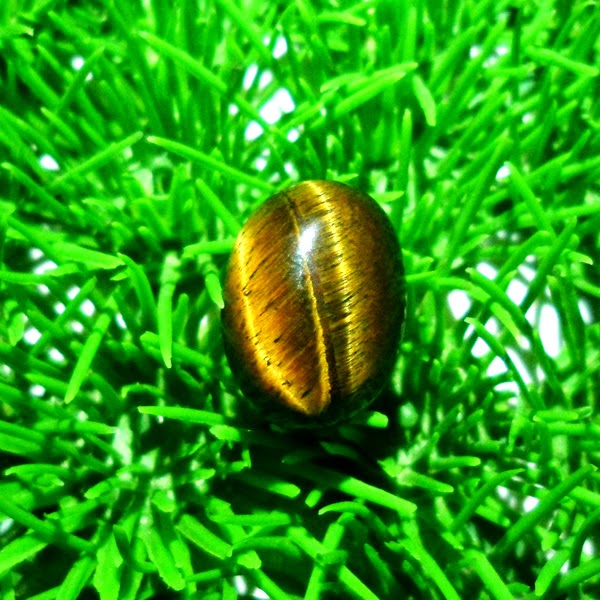 jual mustika harimau pusat toko, pusaka, mustika, akik, permata, azimat, bertuah sakti, ampuh, tarikan ghaib, asli, alami, kerajaan keris
