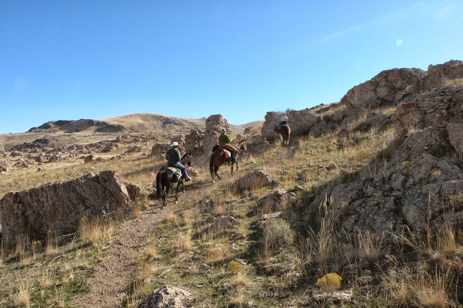 Dream Packer Trail Adventures Antelope Island, White Rock Bay