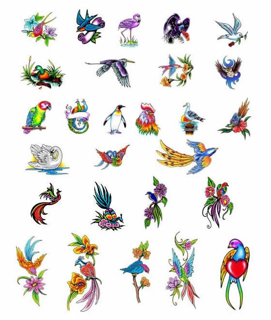 Tattoos Of Birds Chook tattoo flash has won reputation in the world of