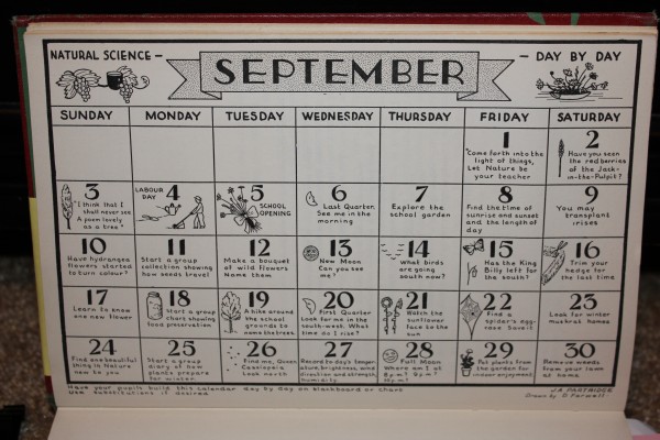 Natural Science Through The Seasons Calendar August Natural Science Through The Seasons Calendar August