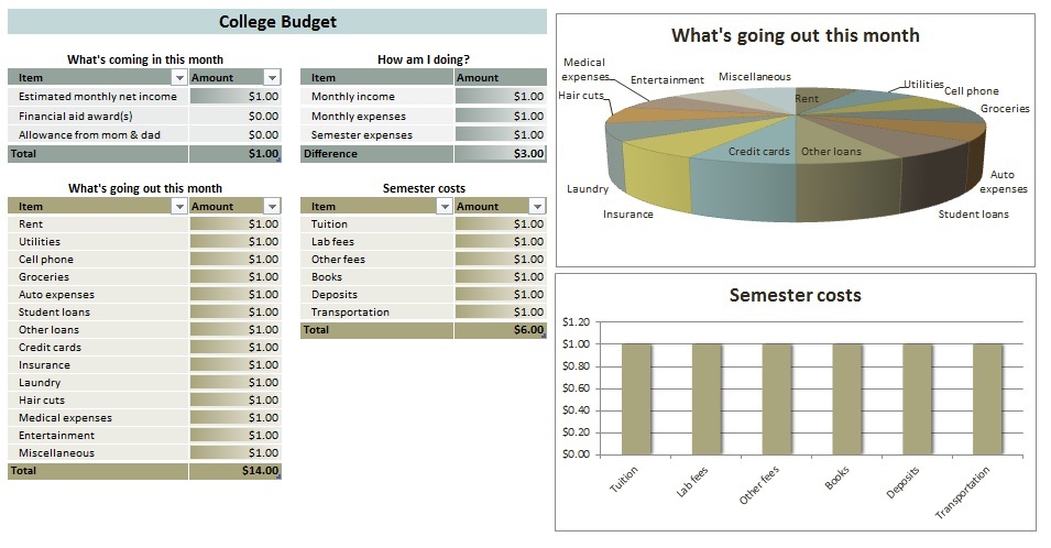 budget worksheets for students