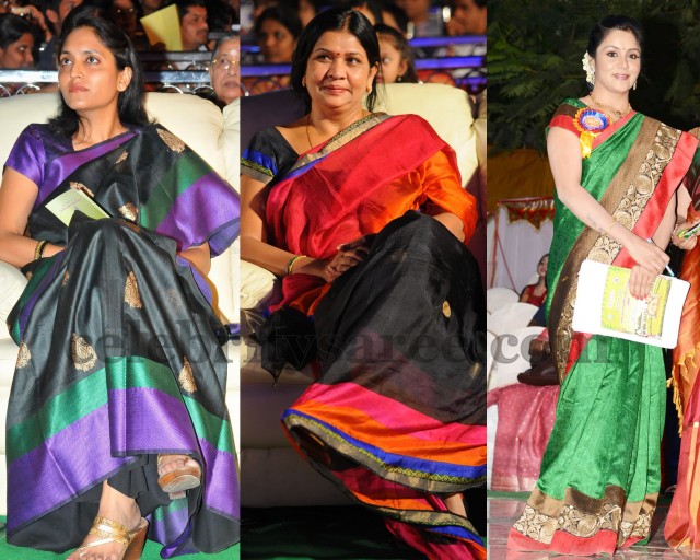 Celebrities Sarees at Nandi Awards 2013