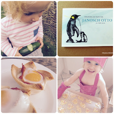 Immer wieder Sonntags - erste Gurke 1 Immer wieder Sonntags - erste Gurke 1