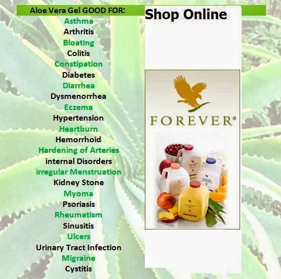 aloeveracureflp.comaloe vera cures all diseases of mankind forever living products