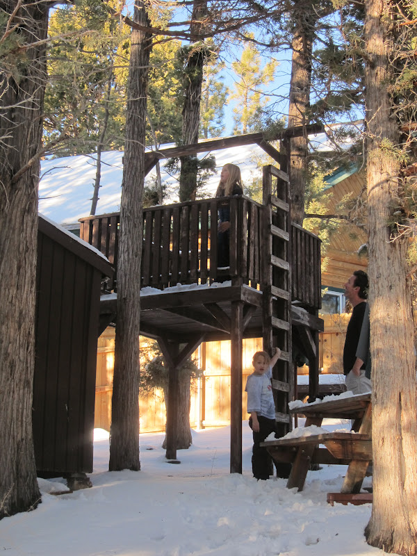 Growing Up Grace: February 2012