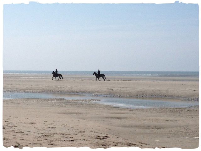 Baie de la Canche Le Touquet Nat et Nature