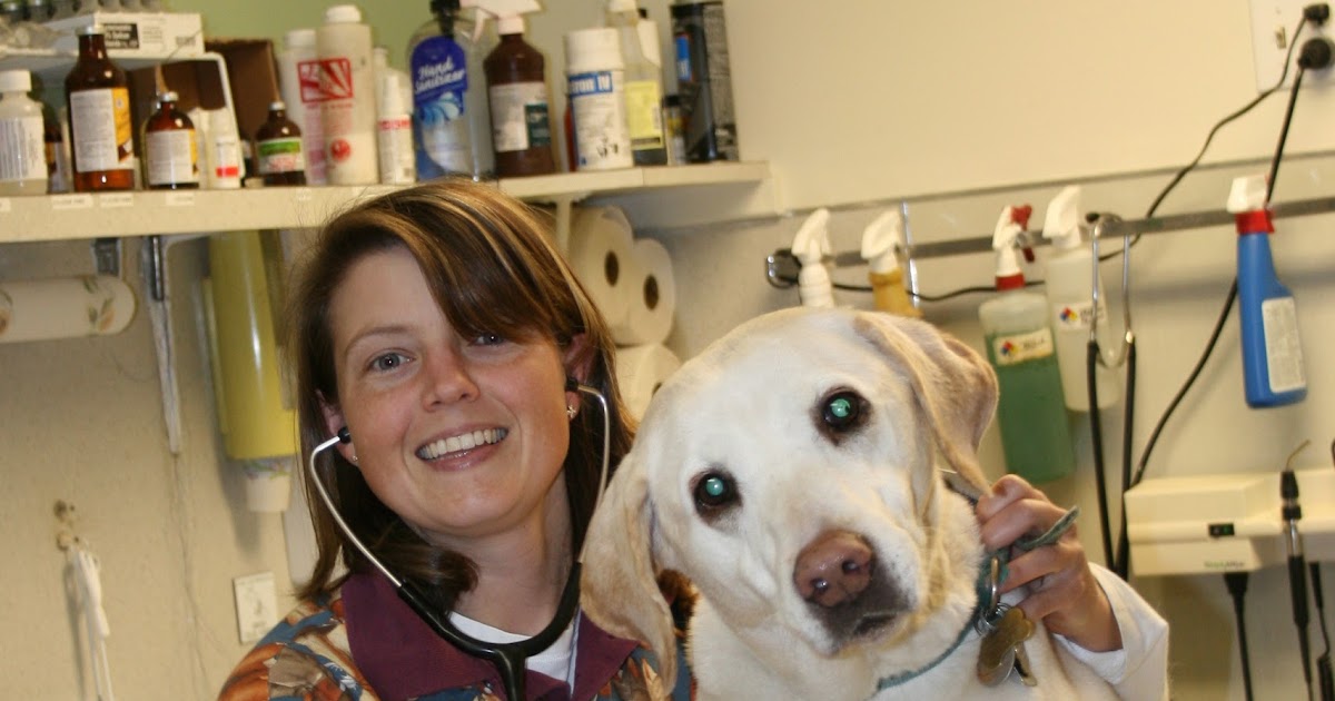 The House That Ag Built Q and A with Dr. Nicki Humphrey, Orland Vet