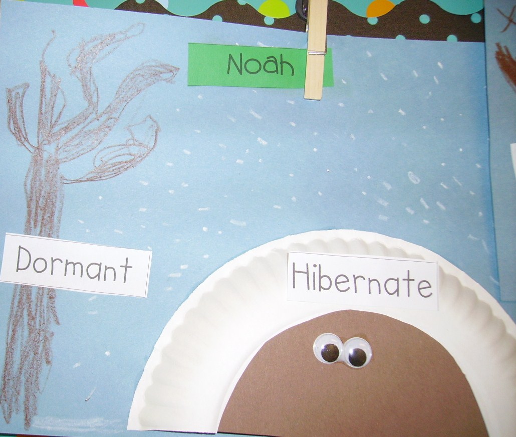 Kopy Kat Kinders Do Trees Hibernate?