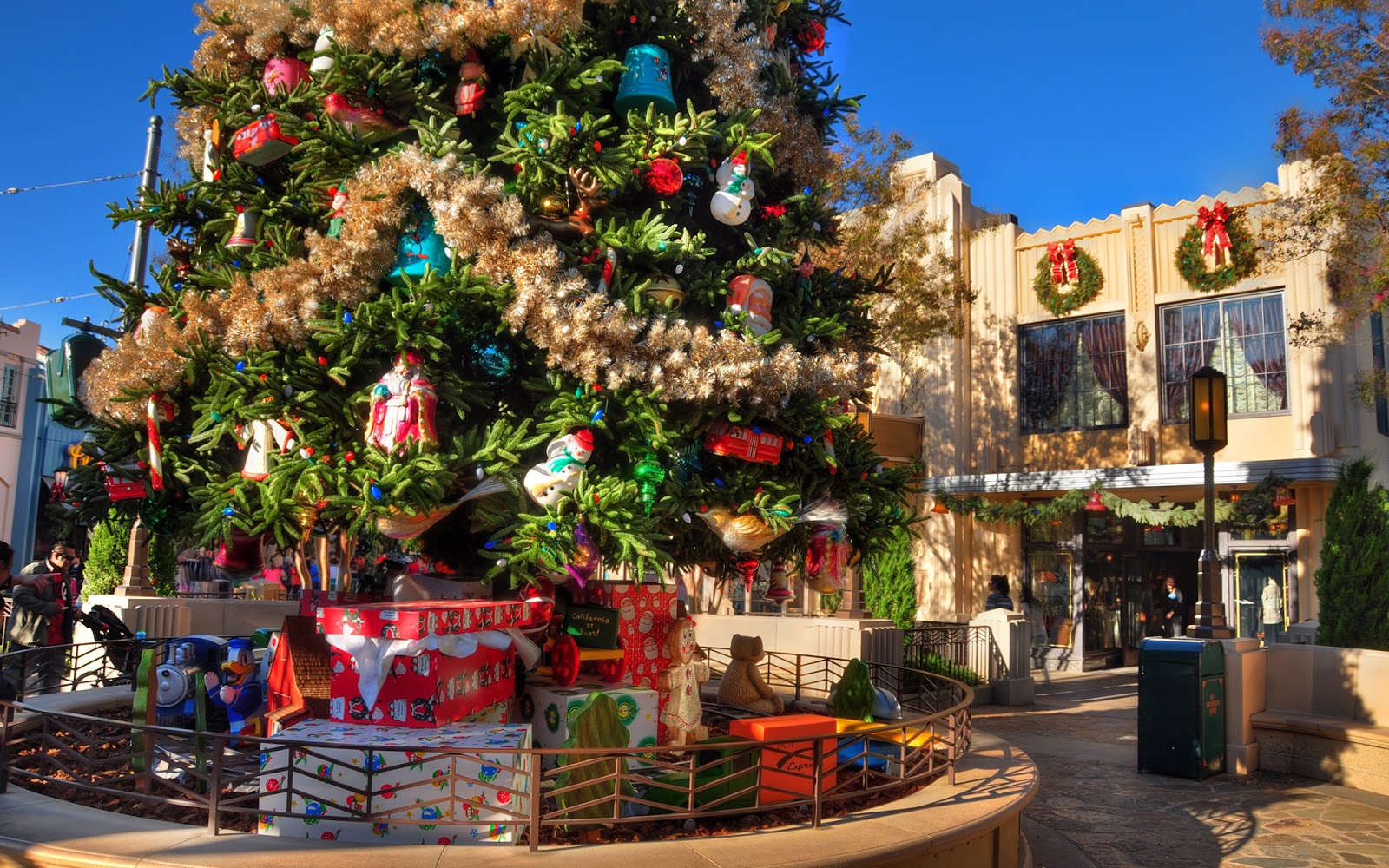 Foliage of the Season