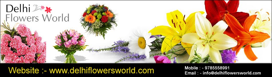 Delhi Online Florists
