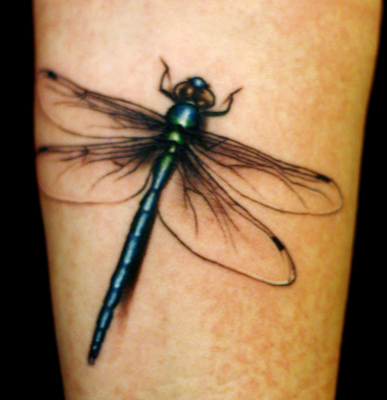 tattoo browse determine some good dragonfly tattoo designs as we speak title=