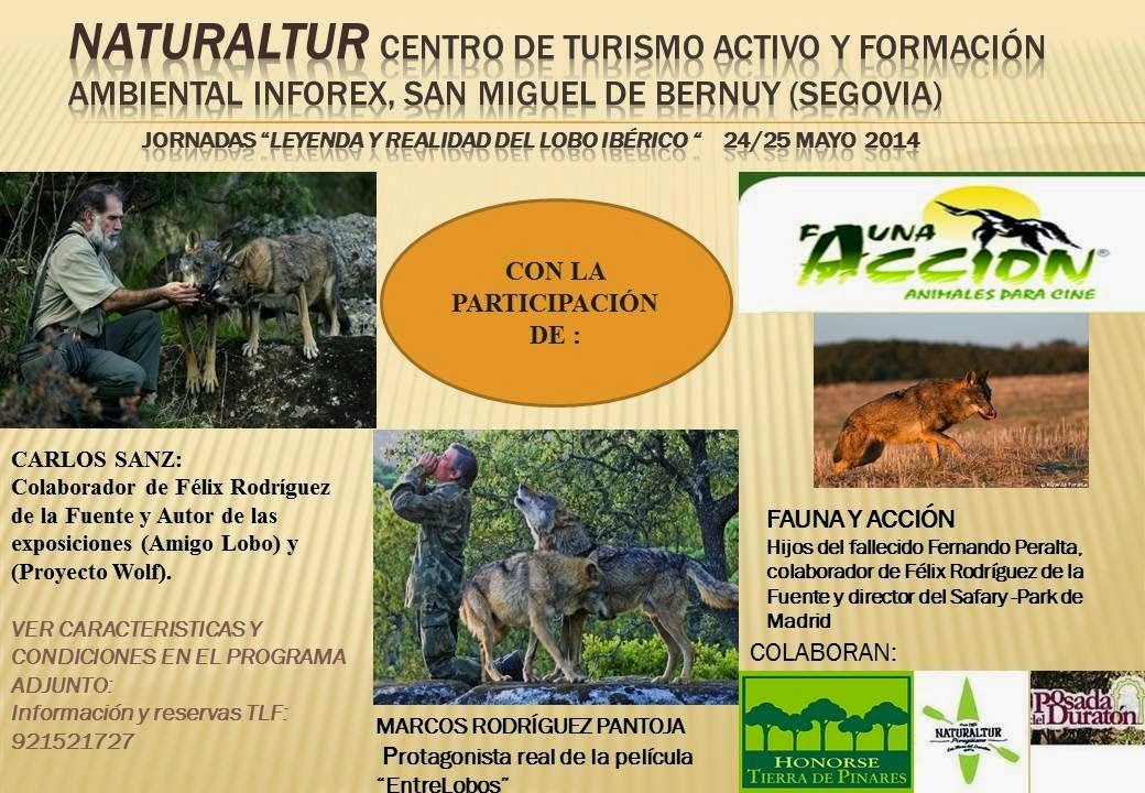 JORNADAS LOBERAS EN SEGOVIA: LEYENDA Y REALIDAD DEL LOBO IBERICO